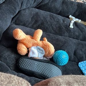 Dog bed and toys and leash with collar